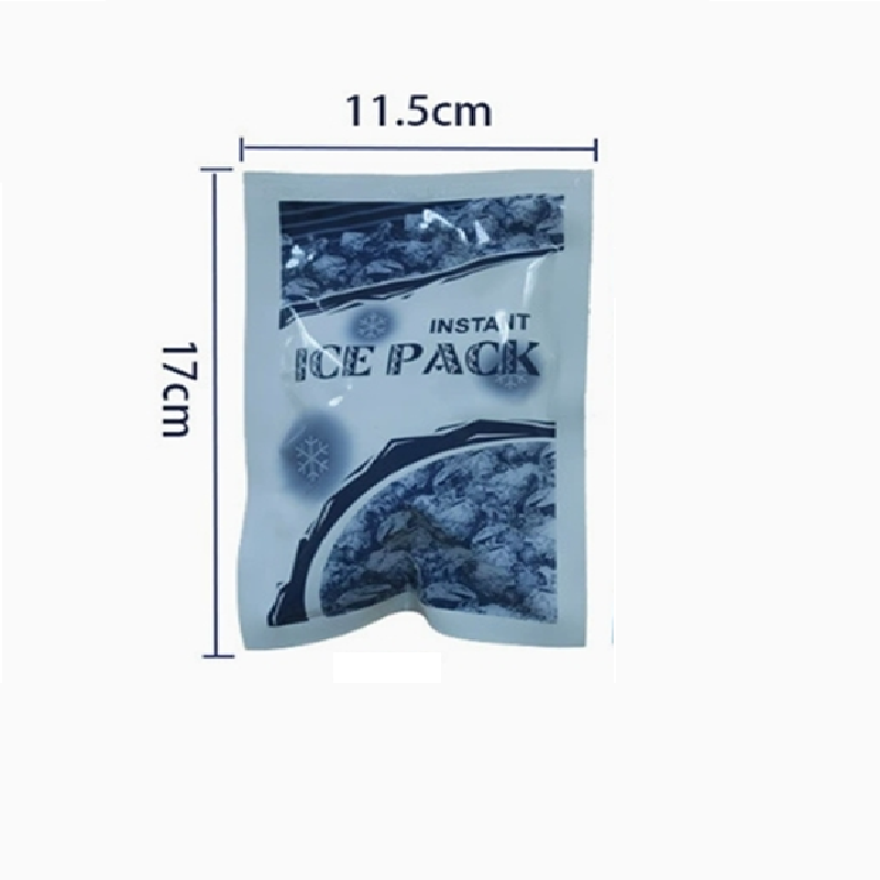 Ice Pack
